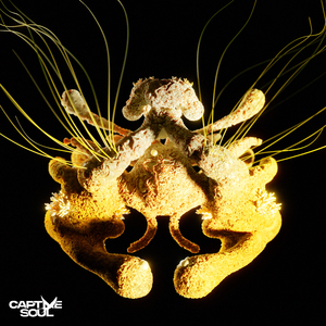 香蕉国产成人版视频在线
