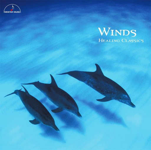 香蕉国产成人版视频在线
